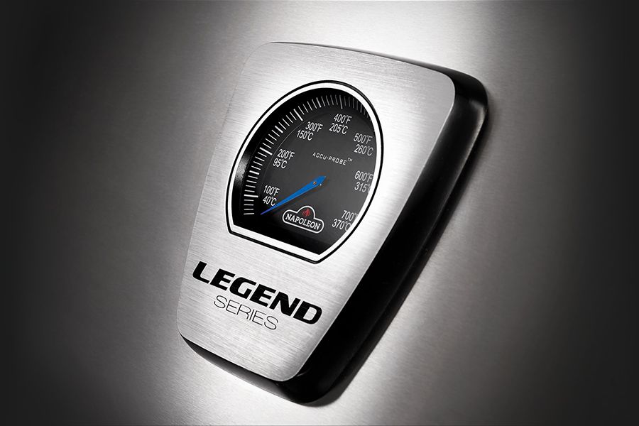 Vestavěný teploměr ACCU-PROBE™ - bledý LEGEND SERIES